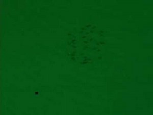 Video of Visual Retraining Exercise