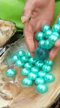 Girl's Lucky Find: Pearls Inside Giant Mutant Clam in River #pearl