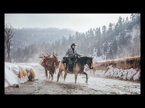 Tucson- Full Video Morgan Horse For Sale