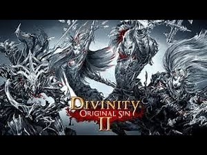Divinity Original Sin 2, Beginners Tips and Tricks Guide