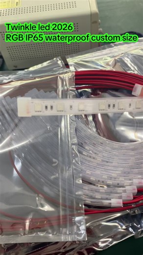 iap65 custom size RGB led strip #nightclublighting #addressableledstrip #ktvlight #rgblights