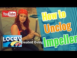 How To Clean A Clogged Pool Pump Impeller