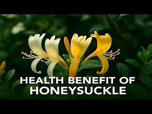 Why You NEED Honeysuckle in Your Life! Health + Skincare Benefits