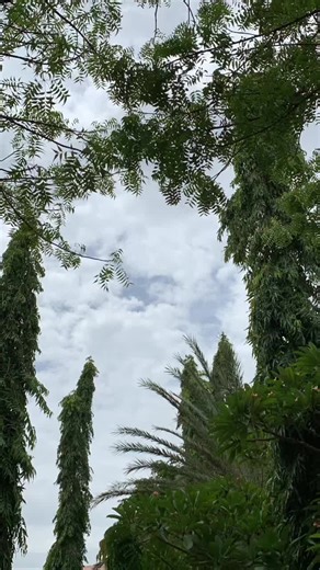 Exploring Nature and Travel in Beautiful Settings