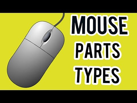 computer mouse - mouse parts , types internal stucture