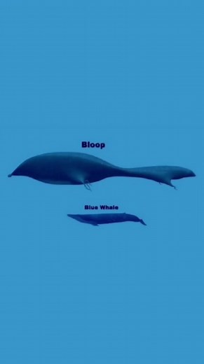 315K views · 3.3K reactions | The Bloop #unexplained #sound #phenomena | Unsolved Mysteries & Paranormal Activities | Facebook