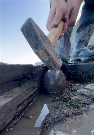 Jurassic fossils with pyrite found in massive shale collapse