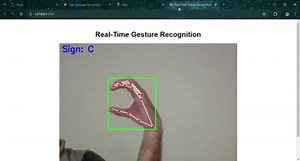 Real-Time Sign Language Recognition System