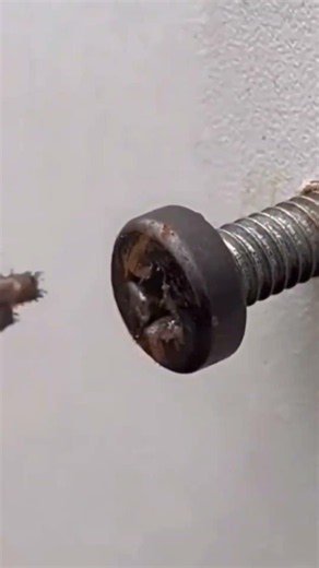 How to Remove Stripped Screws Easily Using a Ring Magnet