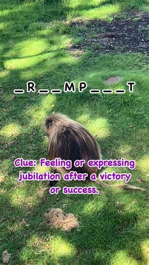 Guess the word! #wordgames #wordsarepowerful #vocabulary #learnenglish | Words are Powerful