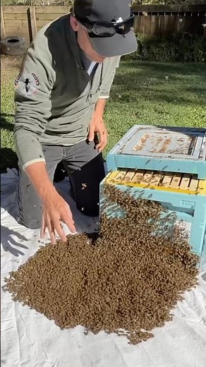 The Secret Every Beekeeper Should Know