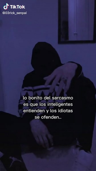 Understanding Sarcasm: A Visual Reflection