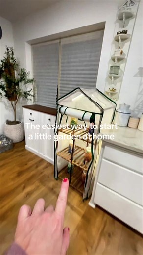 Indoor mini greenhouse with grow lights and multi-tier plant stand — perfect for starting plants at home, small spaces, and creating a cozy, screen-free activity for kids and families. #garden #greenhouse #gardening #TikTokShopSpringGlowUp #tiktokshopcreatorpicks