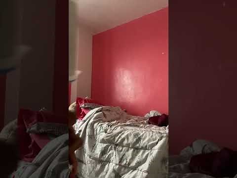 My morning routine part 2