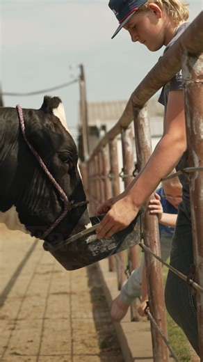 1.2K views · 27 reactions | From early mornings in the barn to long days in the fields, we’re grateful for every farmer who makes it possible for families to enjoy fresh, local dairy.  This #NationalFarmersDay, join us in saying thank you. Tag a farmer you appreciate in the comments and help us spread the love. 拏✨ | Mayfield Dairy Farms | Facebook