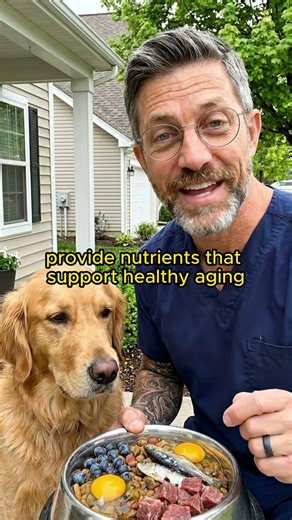 Want Your Dog to Live Longer? Feed These 5 Foods. #usa #dogs #viral #tips #advice