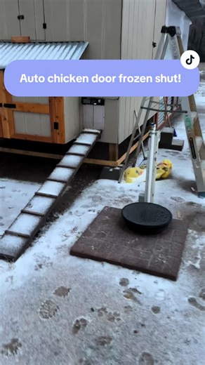 Auto Chicken Door Issues: Solve Frozen Shut Problems