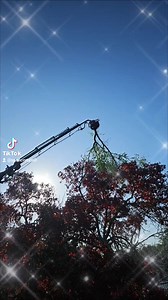 FREE ESTIMATES ❗️ ❗️ 850 582 7606 professional Tree service. Providing the best equipment on the Emerald Coast. To insure the highest quality of work. Along with the Highest quality of professionalism with competitive pricing. | TATES tree service