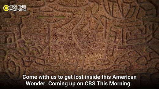 FRIDAY: Take a look inside what's called "The World's Largest Corn Maze." 🌽 Mark Strassmann takes us to Richardson Adventure Farm in northern Illinois, where tens of thousands of people enter each fall and hope that they can find their way out. | CBS Mornings