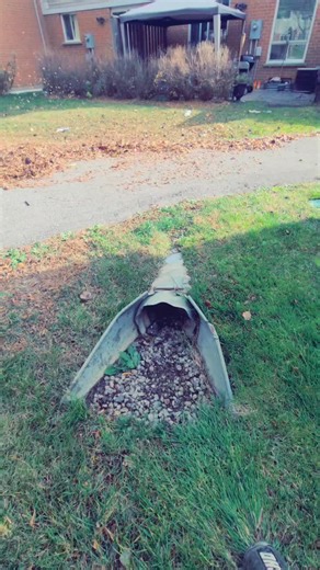 landscaping_daily on TikTok