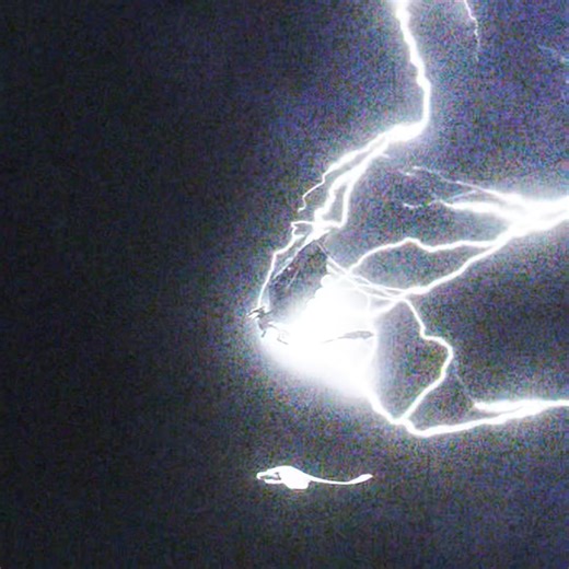 Impressing a Girl: The Toothless & Night Fury Story