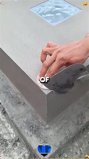 Father's Frustration with Son's Chicken Care