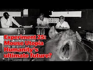 Experiment 25--Mouse Utopia: The Experiment That Revealed Humanity’s Terrifying Future