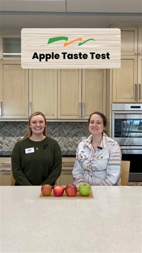 Which apple are you grabbing today to keep the doctor away? 🍎 Shop Apple Picks: https://festvl.com/4aMzbbe | Festival Foods