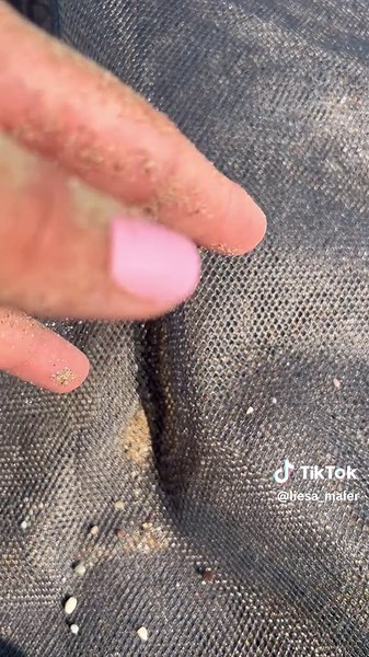 Ultimative Strandtipps: Die perfekte sandfreie Decke und mehr