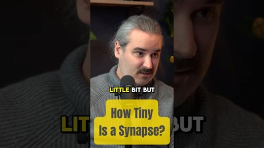 How Tiny Is a Synapse? | MBExC - Cluster of Excellence Multiscale Bioimaging