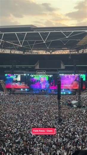 mxlly.concerts on TikTok