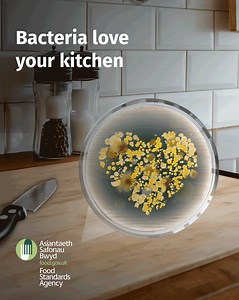 The kitchen is the heart of your home, but if you could see how much bacteria love it too – you would want to break up with them for good. Learn how making simple changes to your kitchen hygiene habits can keep bacteria at bay. Y gegin yw calon eich cartref. Ond mae’n dorcalonnus meddwl faint o facteria a all fod yno. Dysgwch sut gall newidiadau bach i’ch arferion hylendid yn y gegin gadw bacteria draw. | Food Standards Agency | Facebook