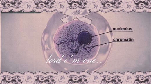 sister cells 🥹#bio #mitosisedit #niche #science | mitosis