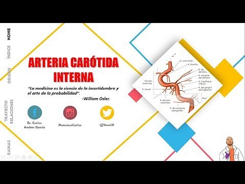 Anatomy - Internal Carotid Artery (Origin, Course, Portions, Branches)