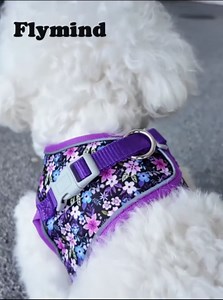 Step in Dog Harness and Leash Set, Flower Adjustable Easy Walk Puppy Harnesses, Soft Mesh Pet Vest Harness Small Size Dog Adjustable No Pull Dog Harness for Small Medium Dogs(Dinosaur1, M)