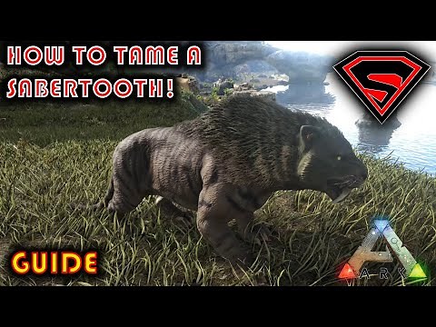 ARK HOW TO TAME A SABERTOOTH 2020 - EVERYTHING YOU NEED TO KNOW ABOUT TAMING A SABERTOOTH