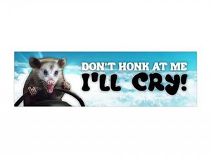 Possum Don't Honk At Me I'll Cry Funny Meme Bumper Sticker & Car Magnet