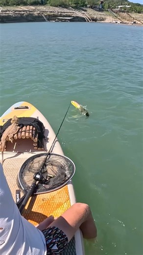 3.1M views · 5.9K reactions | That’s a new one. Pink Lemonade is irresistible. | The Homeless Fisherman | Facebook