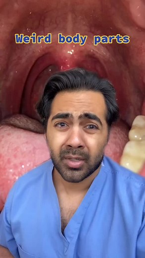 Exploring Weird Body Parts: Learn Something New!