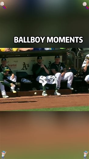BALLBOY MOMENTS🇺🇸#foryou #mlb #sports #baseball #funny | ball boy best moments
