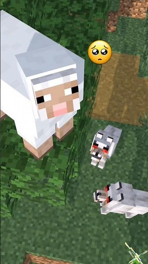 How can sheep and wolves become friends? #minecraft #minecraftanimation #shorts