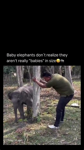 This Is How Kids in China Have Fun... Unlike What You Imagine. ,