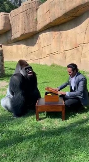 She has the coolest shoes for this dance! 😱👟 #shorts #Shorts