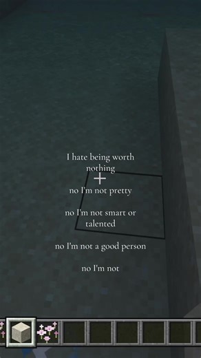 Struggles of Self-Worth in Minecraft