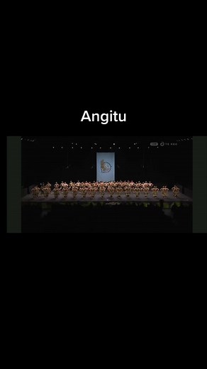 Video Credit:Māori Television. Angitu poi dedicated to princess Te Puia. Would love if someone done a tutorial on their patua!!! This poi was onnnnnn!#Vocals #Kapa #Haka #fyp #onpoint #Tamaki