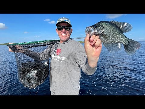 Crappie Beat Down on Lake Okeechobee ( Catch Clean & Cook)