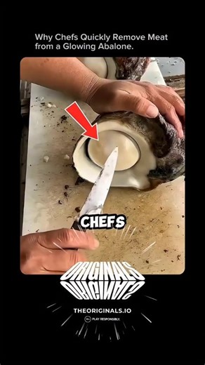 EraScope on Instagram: "When abalone appears to glow or shine, it isn’t magic — it’s usually a sign of bioluminescent bacteria or algae on the shell, or a chemical reaction caused by stress after the animal is taken from the ocean. To a chef, that glow is a warning sign, not a feature. Abalone meat is extremely delicate and can spoil fast. If bioluminescent microbes are present, they may also produce toxins or cause rapid bacterial growth. That’s why chefs remove the meat immediately — to stop c