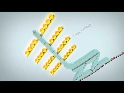 ACD RNAScope technology overview