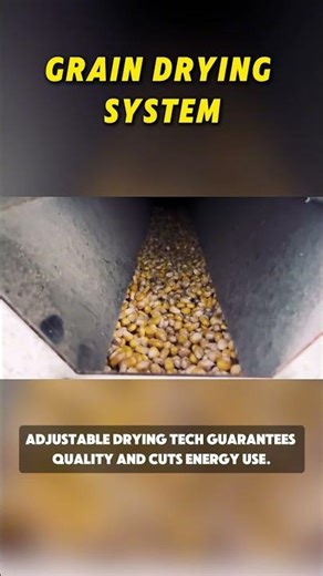 Grain Drying System: Sun-Quality Results, Rain or Shine