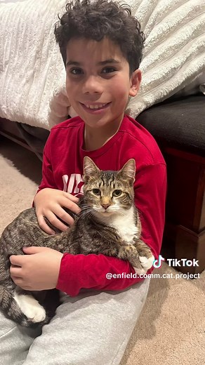 🎄 Merry Christmas from everyone at Enfield Community Cat Project 🎄 From all of us—two-legged and four-legged—thank you to our amazing community. Your kindness, generosity, and unwavering support are what make it possible for us to rescue, care for, and advocate for cats in need. Because of you, more cats are warm, safe, fed, vetted, and loved. We are beyond grateful to have such an incredible village standing beside us every step of the way. Wishing you and your families a Christmas filled wit
